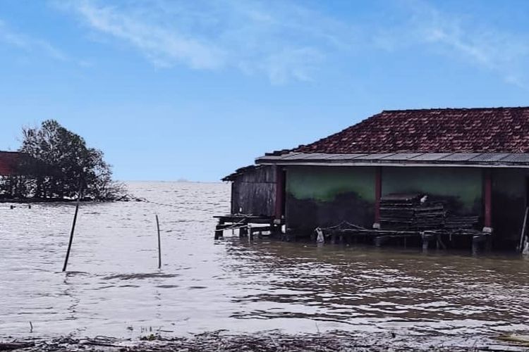 Kondisi rumah warga di Desa Bedono, Kecamatan Sayung, Kabupaten Demak, Jawa Tengah, Sabtu (27/2/2021). (KOMPAS.COM/NUR ZAIDI)