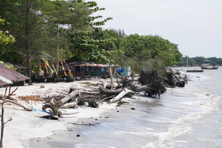 Abrasi parah umumnya terjadi di sepanjang pesisir timur sumatera. Salah satunya di Desa Paluh Sibaji, Kecamatan Pantai Labu, Deli Serdang ini. Abrasi ini diduga kuat akibat pengerukan pasir untuk bandara di tahun 2008.