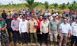 Peringati Hari Lahan Basah, BRGM dan Kementerian LHK Tanam Pohon Serentak di 13 Provinsi