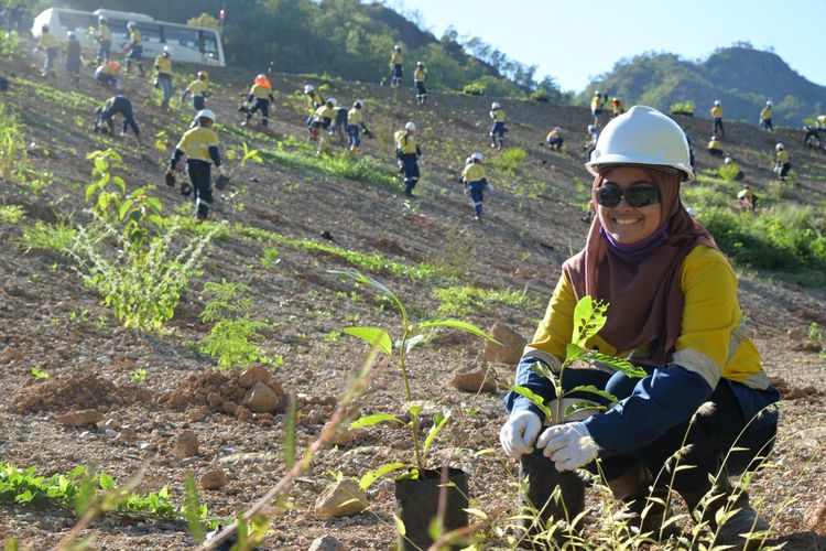 MDKA menjalankan program offsetting lewat berbagai inisiatif, salah satunya penanaman pohon. 
