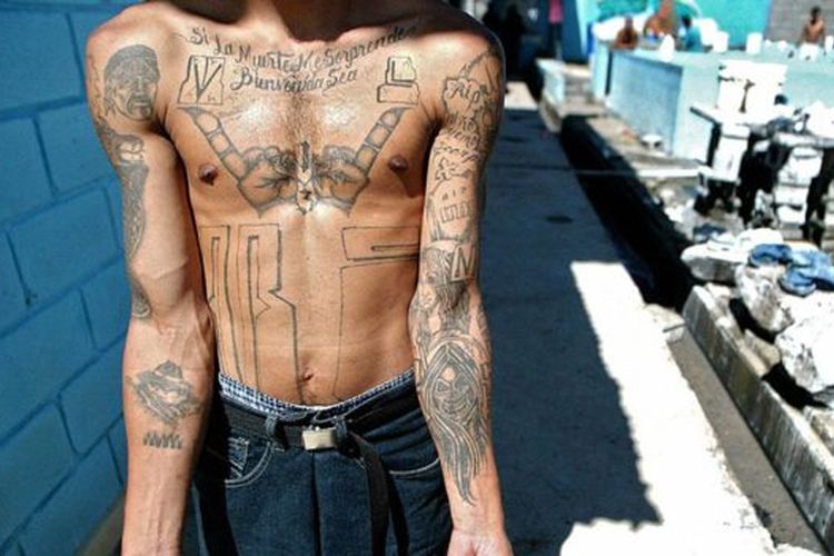 Anggota geng MS-13 menandai tubuh mereka dengan tato.