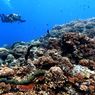 Pengunjung Kepulauan Seribu Bawa Alat Sendiri jika Ingin Diving dan Snorkeling