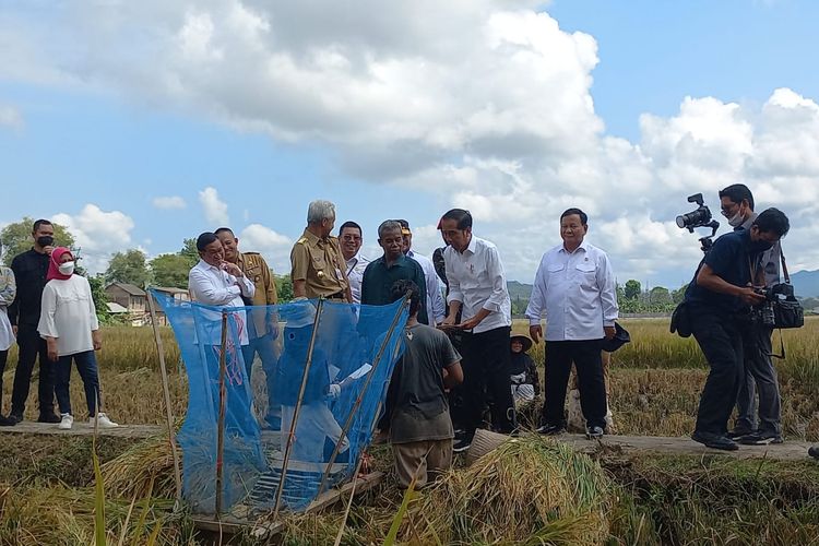 Presidne Joko Widodo (Jokowi) meninjau panen raya padi dan berdialog dengan petani di Desa Lajer, Kecamatan Ambal, Kabupaten Kebumen, Provinsi Jawa Tengah.