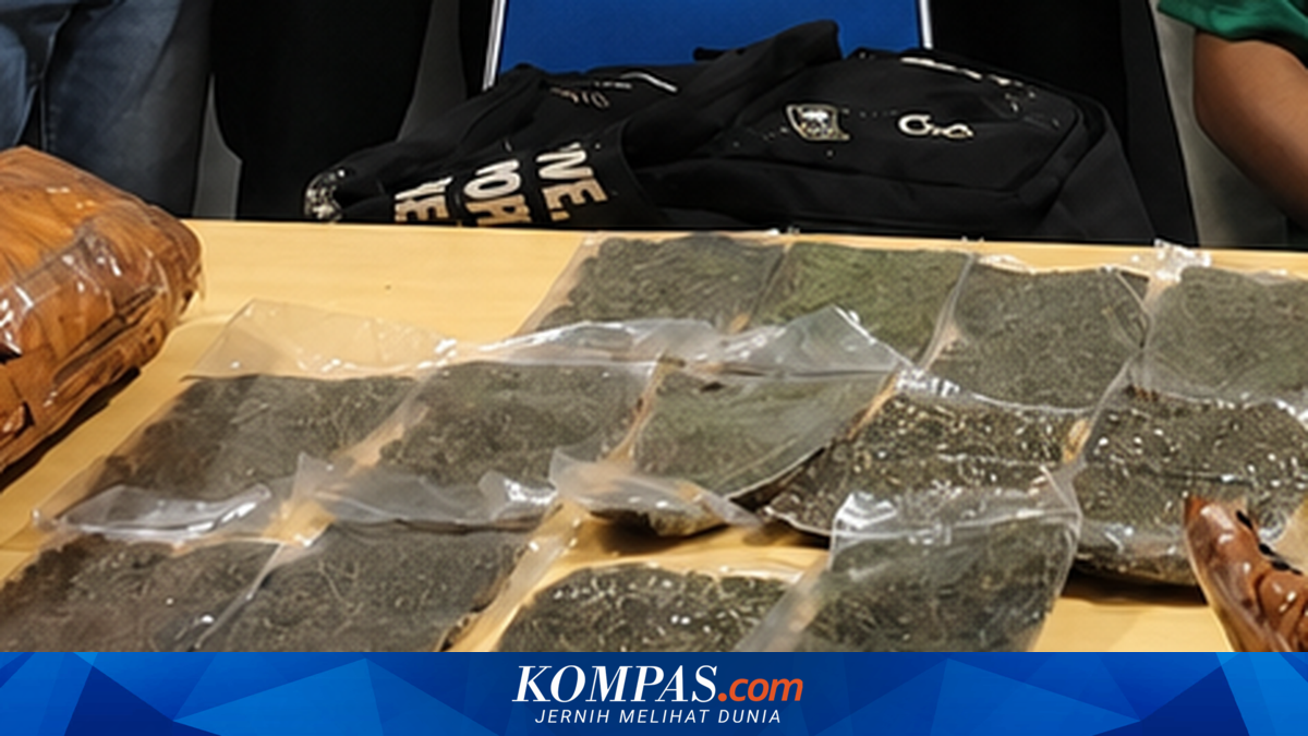Kronologi Penangkapan Penumpang di Bandara Sentani, Bawa Ganja 2,6 Kg di Tas Ransel dan Koper Merah