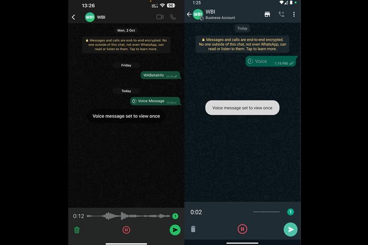 Fitur pesan suara WhatsApp yang dikirimkan dalam mode sekali lihat/view once