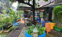 Kebun di Lahan Kosong, Solusi Warga Ciptakan RTH dan Ketahanan Pangan