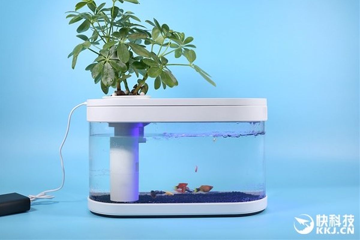 Xiaomi Fish Tank