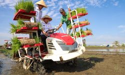 Pemprov Jateng Pulihkan 512 Hektar Lahan Pertanian di Demak, Petani Apresiasi