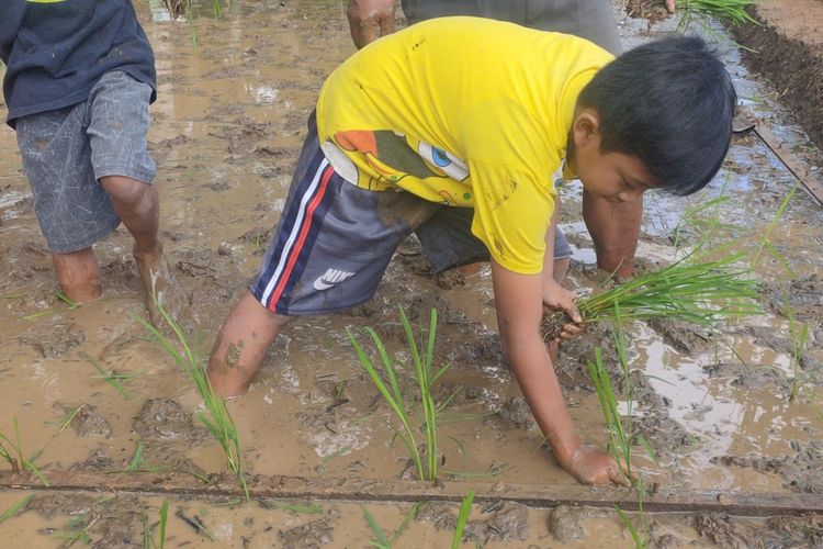 Pelajar SD Prennthaler di desa di atas bukit Kapanewon Samigaluh, Kabupaten Kulon Progo, Daerah Istimewa Yogyakarta, turun ke ladang dan sawah tiga kali seminggu secara bergantian. Anak-anak keluarga petani itu mengenal karya di bidang pertanian.