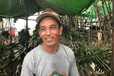 Ditinggal Shalat Subuh, Seekor Kambing Milik Pedagang Hewan Kurban Raib Digondol Maling