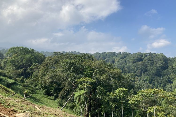 Pemandangan lembah kaki Gunung Gede Pangrango yang terlihat dari Puncak Halimun Camp, Kecamatan Caringin, Kabupaten Bogor, Jumat (28/5/2021).