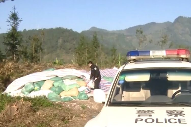 Polisi China memeriksa tumpukan karung yang berisi sampah impor ilegal di Nanning, Guangxi, China.