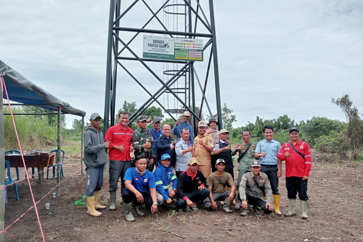 Organisasi nirlaba Belantara Foundation mendirikan pos pantau di Kabupaten Ogan Komering Ilir (OKI), Sumatera Selatan, untuk memitigasi konflik antara manusia dan gajah liar.
