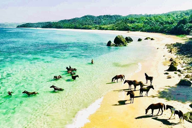 Aktivitas Berkuda di Tepi Pantai Nihiwatu