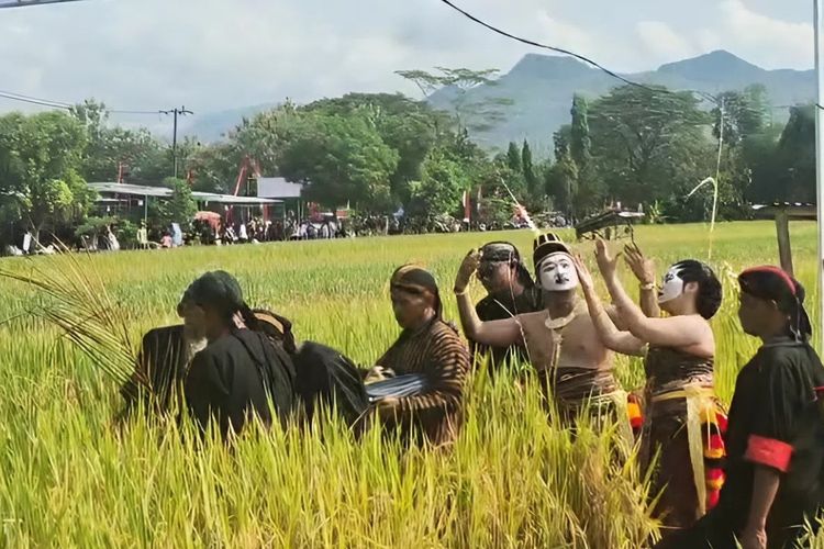 Tradisi Methik Pari, Cara Bersyukur Warga Desa Glinggang Ponorogo Atas Panen Padi Melimpah
