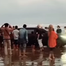 Video Pajero Sport Ambles di Pantai, Begini Cara Keluarkan Mobil yang Terjebak Pasir