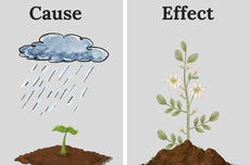 Cause and Effect: Karakteristik, Fungsi, dan Contoh