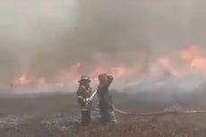 Diduga Sengaja Dibakar, Polda Kalsel Selidiki Penyebab Karhutla di Banjarbaru