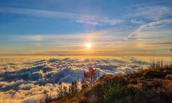 Lokasi Sumber Air di Pendakian Gunung Buthak via Kota Batu, Tak Perlu Khawatir Haus