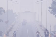 Tak Cuma Gangguan Paru, Ini Efek Polusi Udara Bagi Tubuh