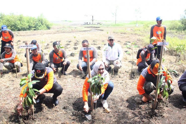 Bupati Kendal, Mirna Anissa, saat menanam mangrove di pulau tiban. Kompas.com/Slamet Priyatin