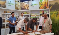 Proyek UPLAND Kementan dan ICCI Cetak Kemitraan untuk 5 Komoditas