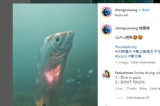 Ikan yang Jarang Ditemui Manusia Terekam di Taiwan, Mitos Pertanda Gempa Muncul Lagi?