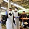 PMK Kembali Menyerang Ternak di Lumajang, 50 Sapi Terinfeksi