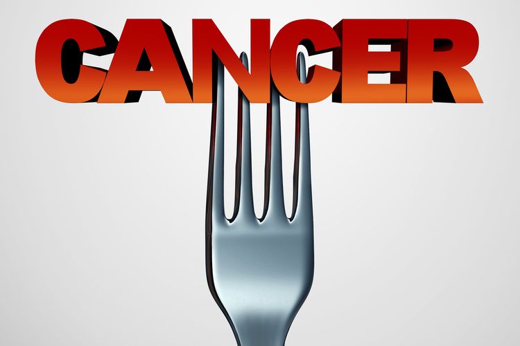 Ilustrasi makanan penyebab kanker, makanan penyebab kanker payudara
