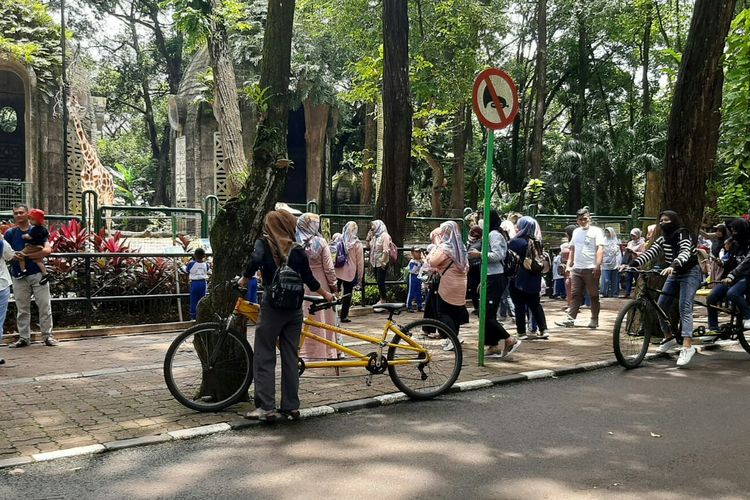 Pengunjung Naik Sepeda di Kebun Binatang Ragunan, Jakarta Selatan (9/3/2023)