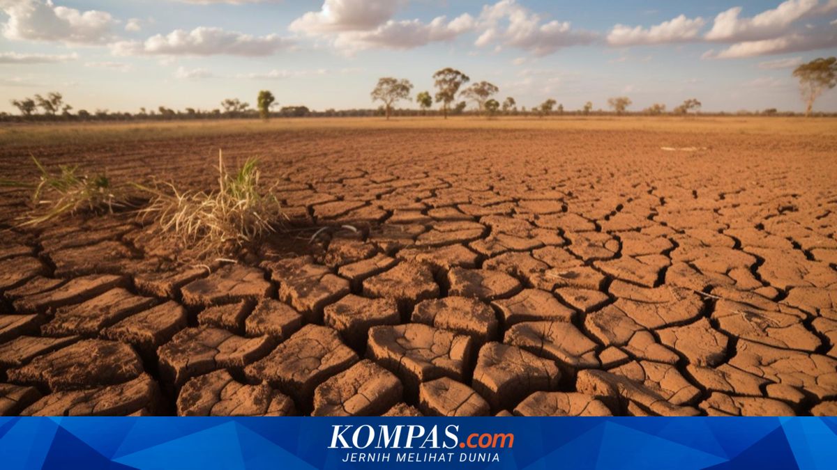 Godzilla El Nino 2026 Ancam RI, Ini Sektor Paling Terdampak

~LL

Klik untuk baca: