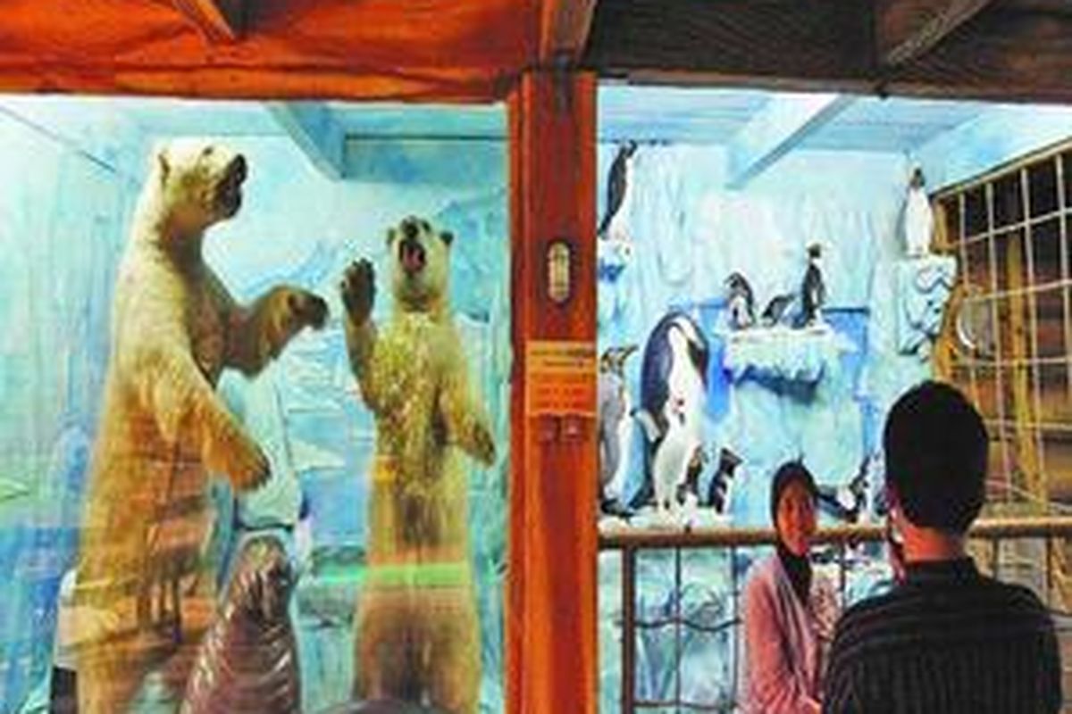 Pengunjung tengah mengambil foto dengan latar belakang dua beruang kutub yang diawetkan di Taman Safari Indonesia, Bogor, Jawa Barat, Kamis (25/9). Menjelang Lebaran sejumlah tempat wisata menawarkan wahana hiburan baru dan menarik buat pengunjung mengisi liburan.