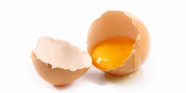 Ilustrasi cangkang telur. 