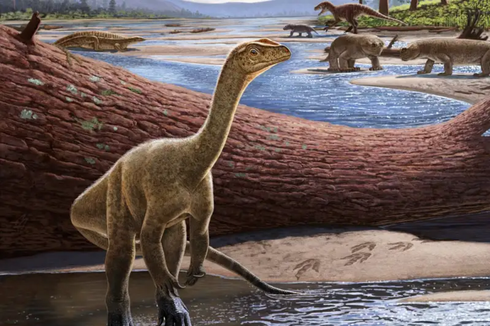 Dinosaurus Berkaki Dua Ditemukan di Zimbabwe, Jadi yang Tertua di Afrika