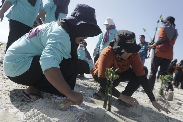 Kolaborasi WALHI dan DMC Dompet Dhuafa dorong perlindungan dan pemulihan wilayah pesisir dari ancaman bencana iklim dengan langkah menanam 1000 bibit mangrove yang diawali di kawasan Pulau Pari, Kepulauan Seribu, Jakarta, pada Senin (8/7/2024).