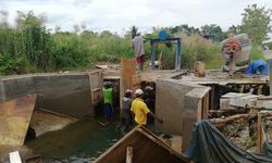 Mentan: Optimalisasi Lahan Rawa Jadi Jawaban untuk Memastikan Ketahanan Pangan