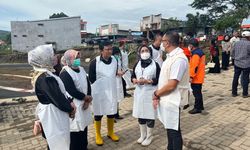 Wabah Penyakit Mulut dan Kuku di Jatim Merebak, DPRD Jatim Minta Pemerintah Pusat Serius