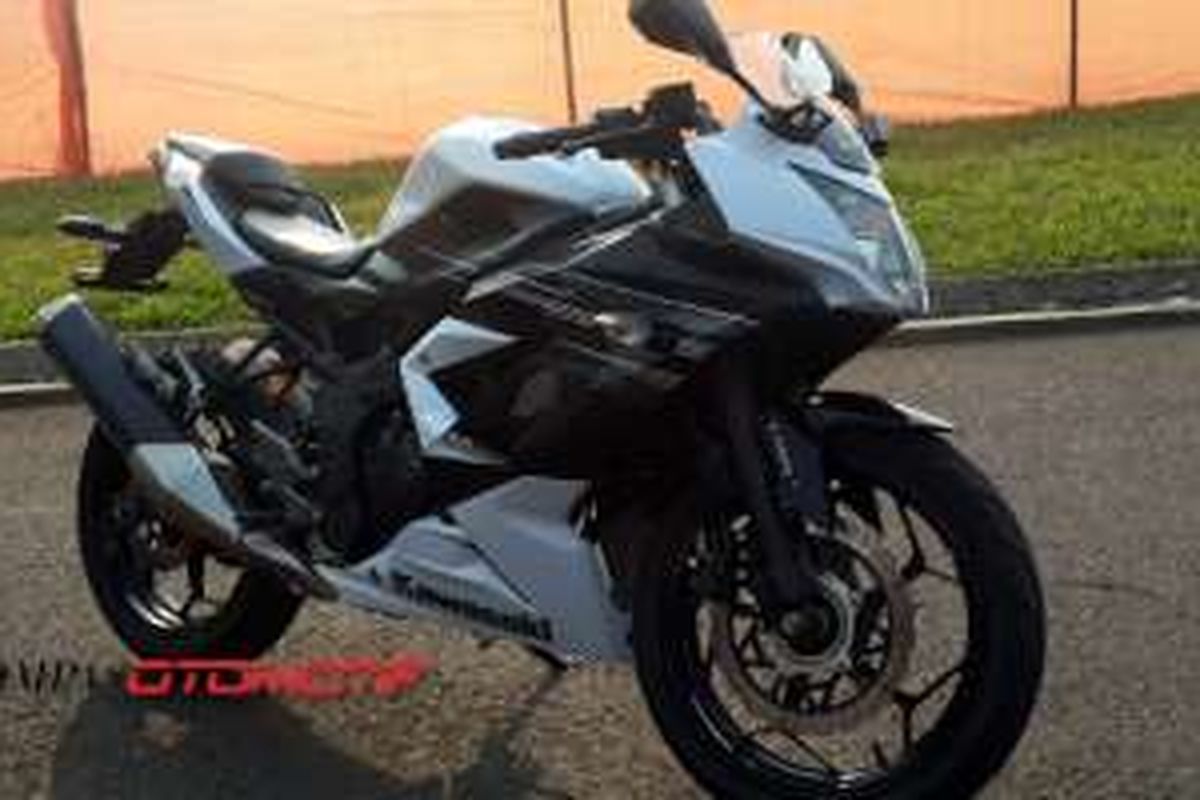 Kawasaki Ninja RR Mono ABS.