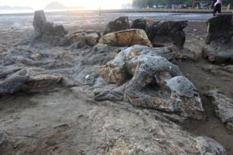 Batu Malin Kundang di Pantai Air Manis, Padang, Sumatera Barat