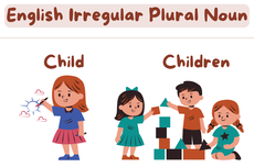 30 Irregular Plural Nouns beserta Artinya