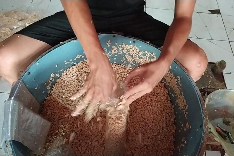 Saat produsen tempe di Kota Semarang membersihkan kedelai. Rabu (20/7/2022)