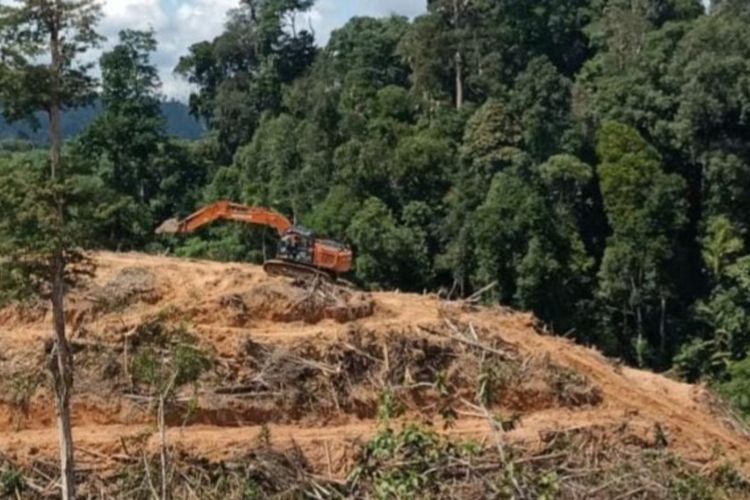 Alat berat yang sedang merusak kawasan hutan saat diamankan petugas DLHK Riau, Kamis (30/6/2022).