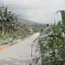 Pemkab Flores Timur Belum Data Lahan Pertanian Terdampak Erupsi Gunung Lewotobi
