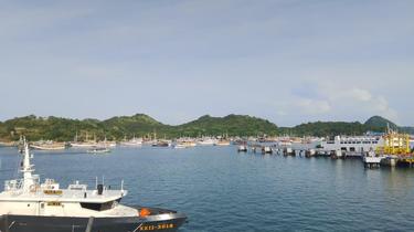 Kajian Kuota Kunjungan TN Komodo Bisa Dilakukan Lagi, Ini Penjelasan BTNK