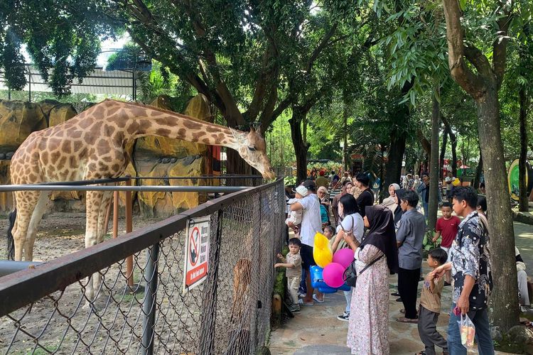 Didatangi 10.000 Pengunjung, Kebun Binatang Surabaya Masih Jadi Primadona Wisata Lebaran