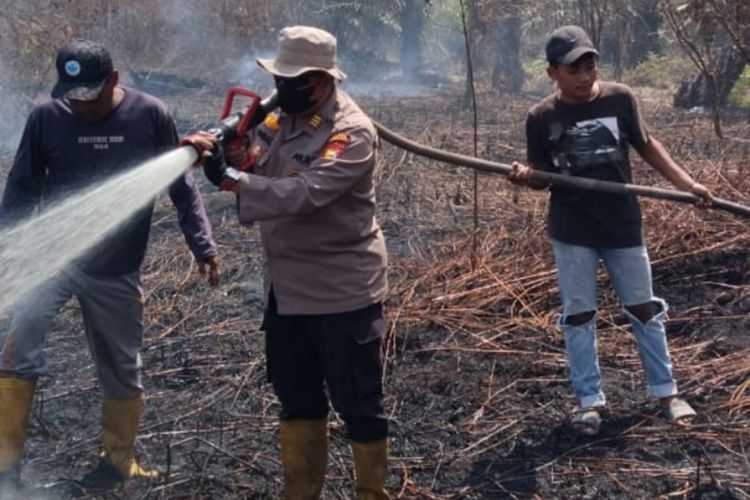 Karhutla di Bengkalis Meluas: 30 Hektar Terbakar, Petugas Sulit Padamkan Api