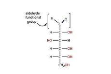 Aldoheksosa: Pengertian dan Contohnya