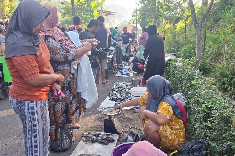 Fenomena Koyo di Ranu Klakah Lumajang, Warga Berburu Ikan 