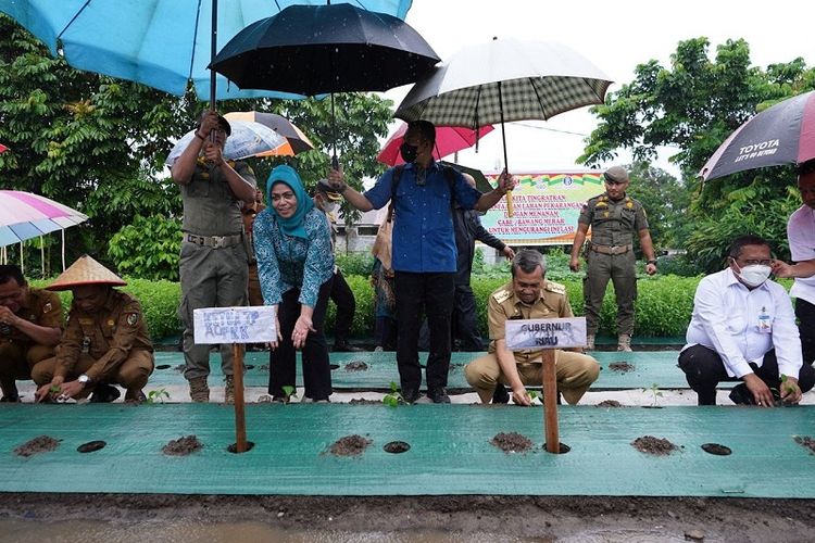 Gubernur Riau Syamsuar serahkan 65.000 bibit cabai dalam polybag yang diserahkan untuk kelompok tani binaan Bank Indonesia, OPD lingkup Pemprov Riau, Kelompok Wanita Tani, serta masyarakat yang berada di Kota Pekanbaru, Kota Dumai, dan Indragiri Hilir. 