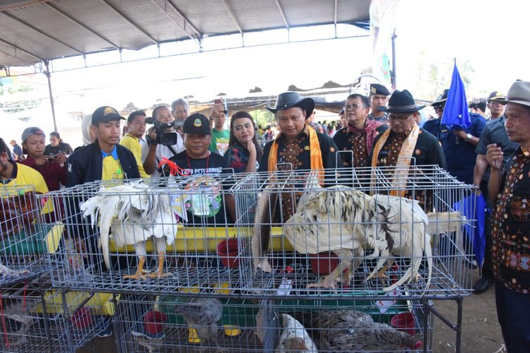 Plh. Gubernur Jawa Barat Uu Ruzhanul Ulum menghadiri Expo dan Kontes Ternak Jabar 2019 di Lapangan Singalodra, Indramayu, Rabu (24/07/19).